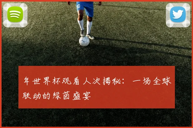 年世界杯观看人次揭秘:一场全球联动的绿茵盛宴