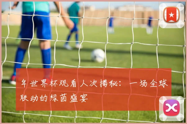 年世界杯观看人次揭秘：一场全球联动的绿茵盛宴