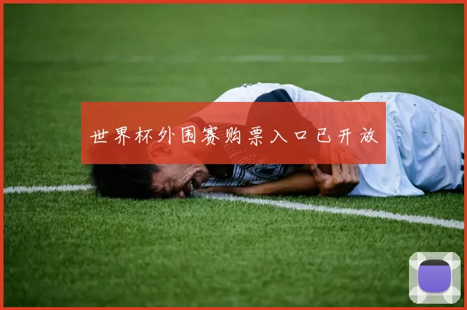 世界杯外围赛购票入口已开放