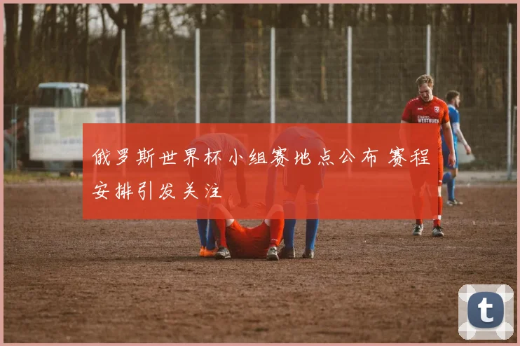 俄罗斯世界杯小组赛地点公布 赛程安排引发关注